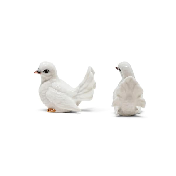 Amazon.co.jp: WitnyStore 小さな 1/2.5 cm 長い 白 見える 左 鳩 鳥